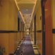 كوريدور  فندق الجوهرة جاردنز - دبي | هوتيلز بوكينج