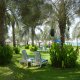 حديقة  فندق شيراتون شاطئ جميرا - دبي | هوتيلز بوكينج