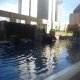 حمام سباحة  فندق جراند سيزونز - كوالالمبور | هوتيلز بوكينج