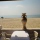 تراس مطل على شاطئ  البحر  فندق جيت إلدو سلامبو - الحمامات | هوتيلز بوكينج